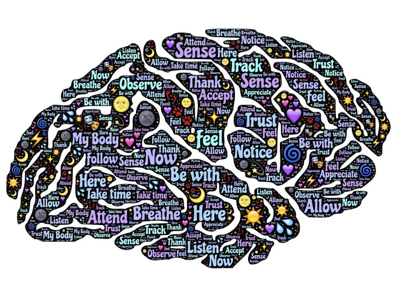 Word art of the brain, words include breathe, attend, here, trust, appreciate, sense, listen, now, accept, observe, be with.